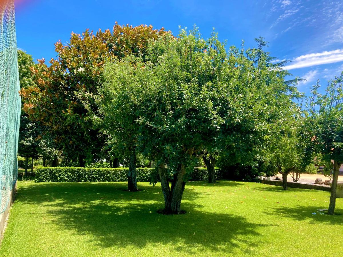 Quinta Dom Sapo - Agroturismo Viana do Castelo Kültér fotó